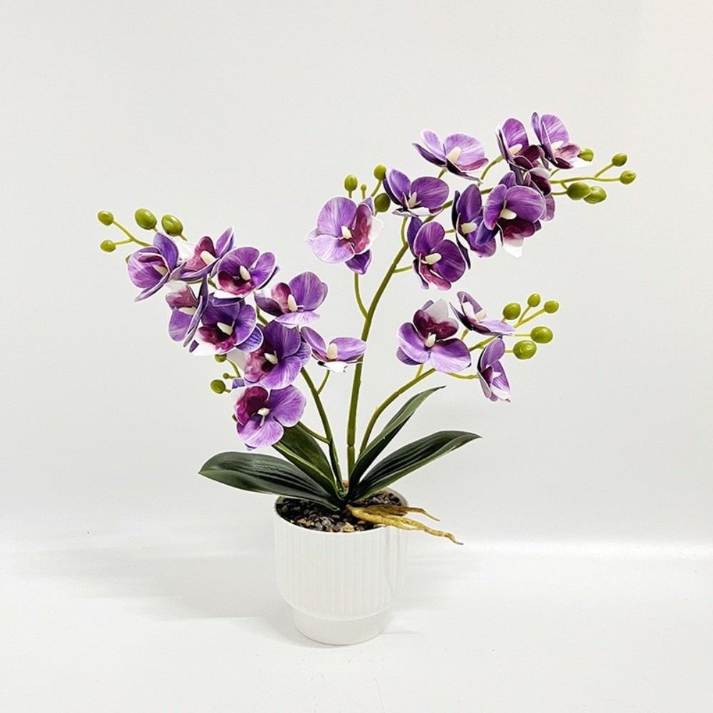 Orchid Potting Mix - Multi-Bloom Simulated Butterfly Orchid White Flower
