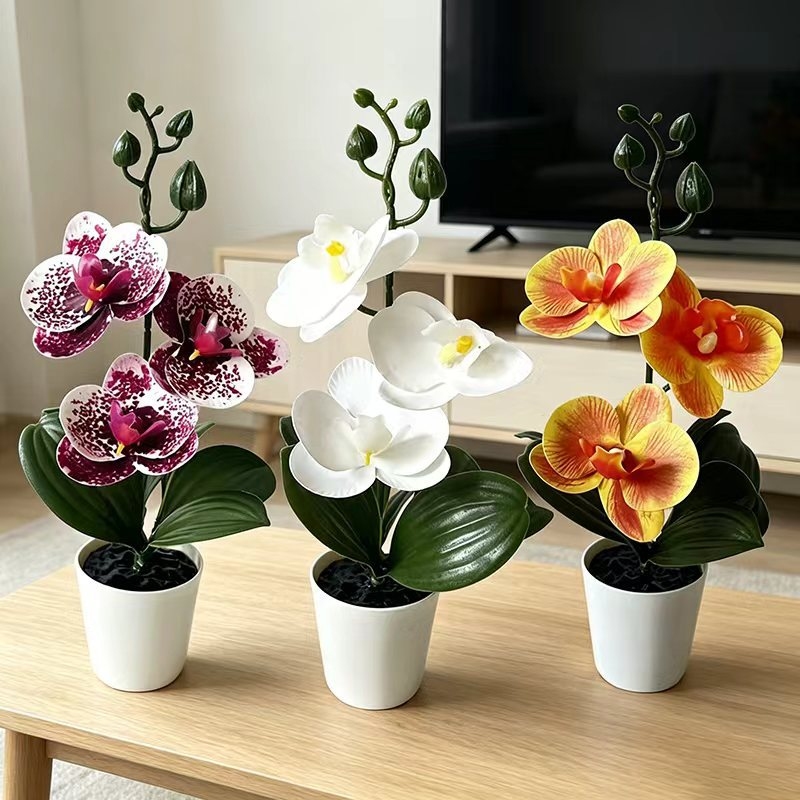 Orchid Potting Mix - Mini Butterfly Orchid Potted Plant with