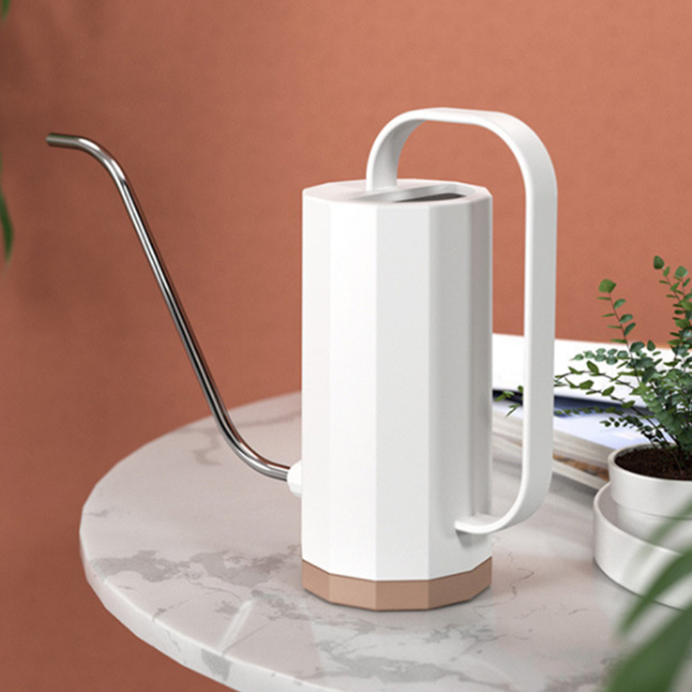 Watering Can Long Spout - 1000ml Flower Spray Pot Stainless Steel