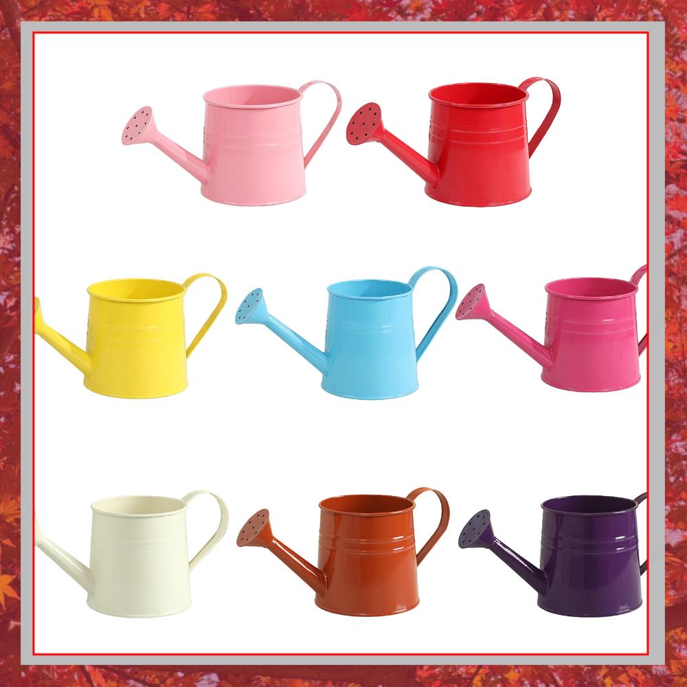 Watering Can Long Spout - Flower Long Spout Water Can for
