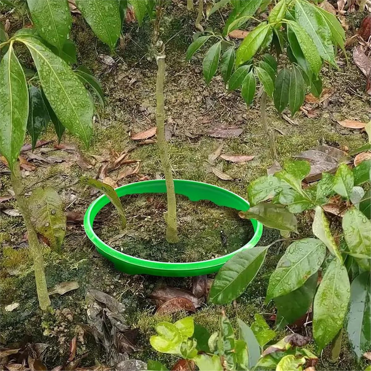 【COUNTDOWN DEAL】 4 Plant Guard - Gardening Tools Deals 评论和价格