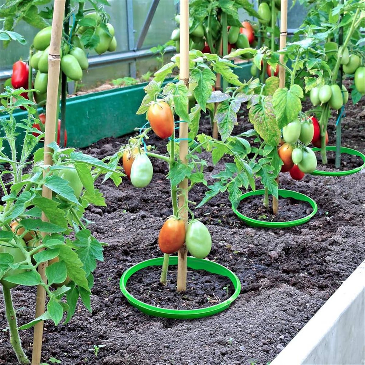 【COUNTDOWN DEAL】 4 Plant Guard - Gardening Tools Deals 评论和价格