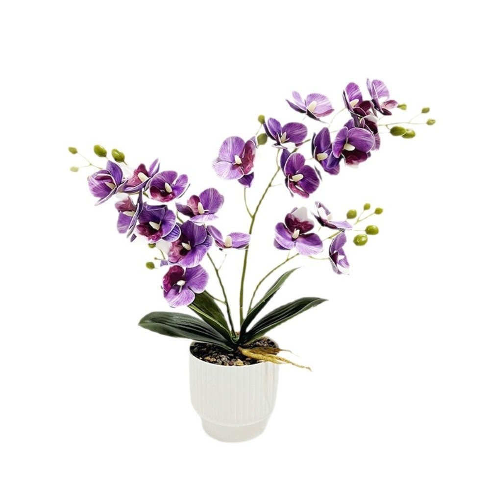 Multi-Bloom Simulated Butterfl - Orchid Potting Mix 评论和价格