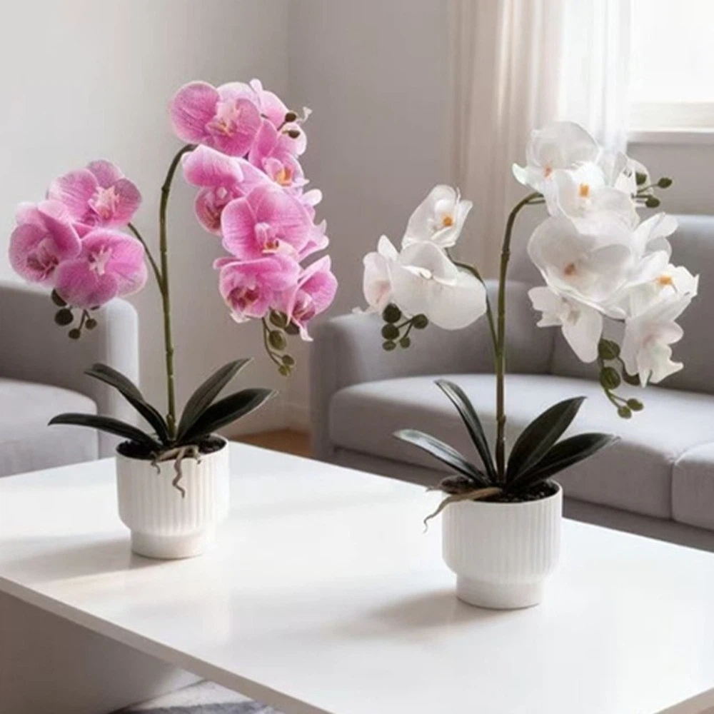Multi-Bloom Simulated Butterfl - Orchid Potting Mix 评论和价格