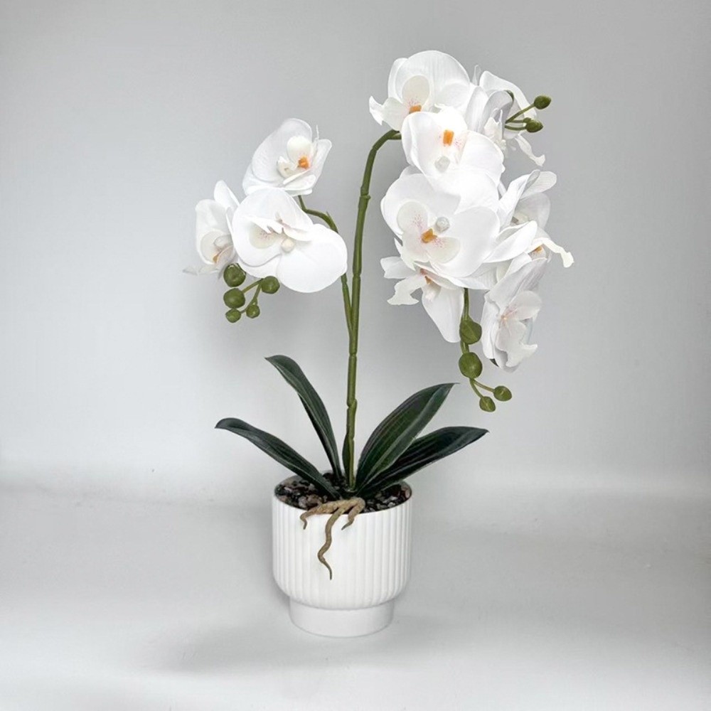 Multi-Bloom Simulated Butterfl - Orchid Potting Mix 评论和价格