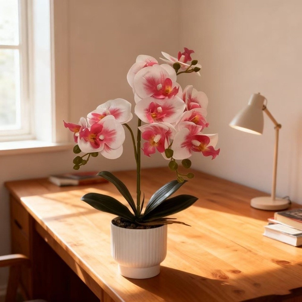Multi-Bloom Simulated Butterfl - Orchid Potting Mix 评论和价格