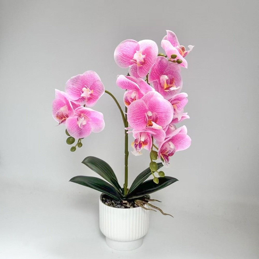 Multi-Bloom Simulated Butterfl - Orchid Potting Mix 评论和价格