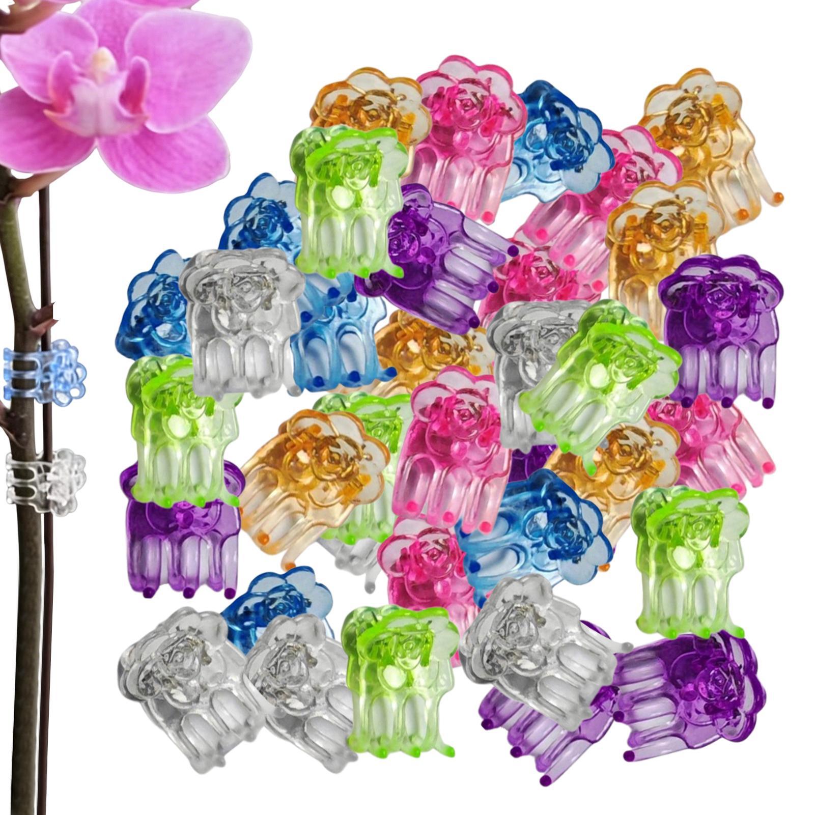 Orchid Clips 60 Pieces Butterf - Orchid Potting Mix 评论和价格