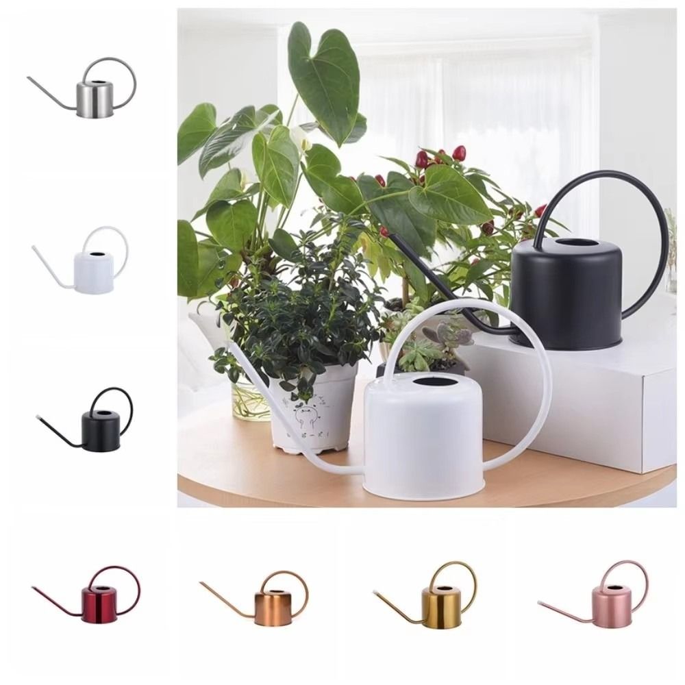 u 1.3L Plant Sprinkler Kettle  - Watering Can Long Spout 评论和价格
