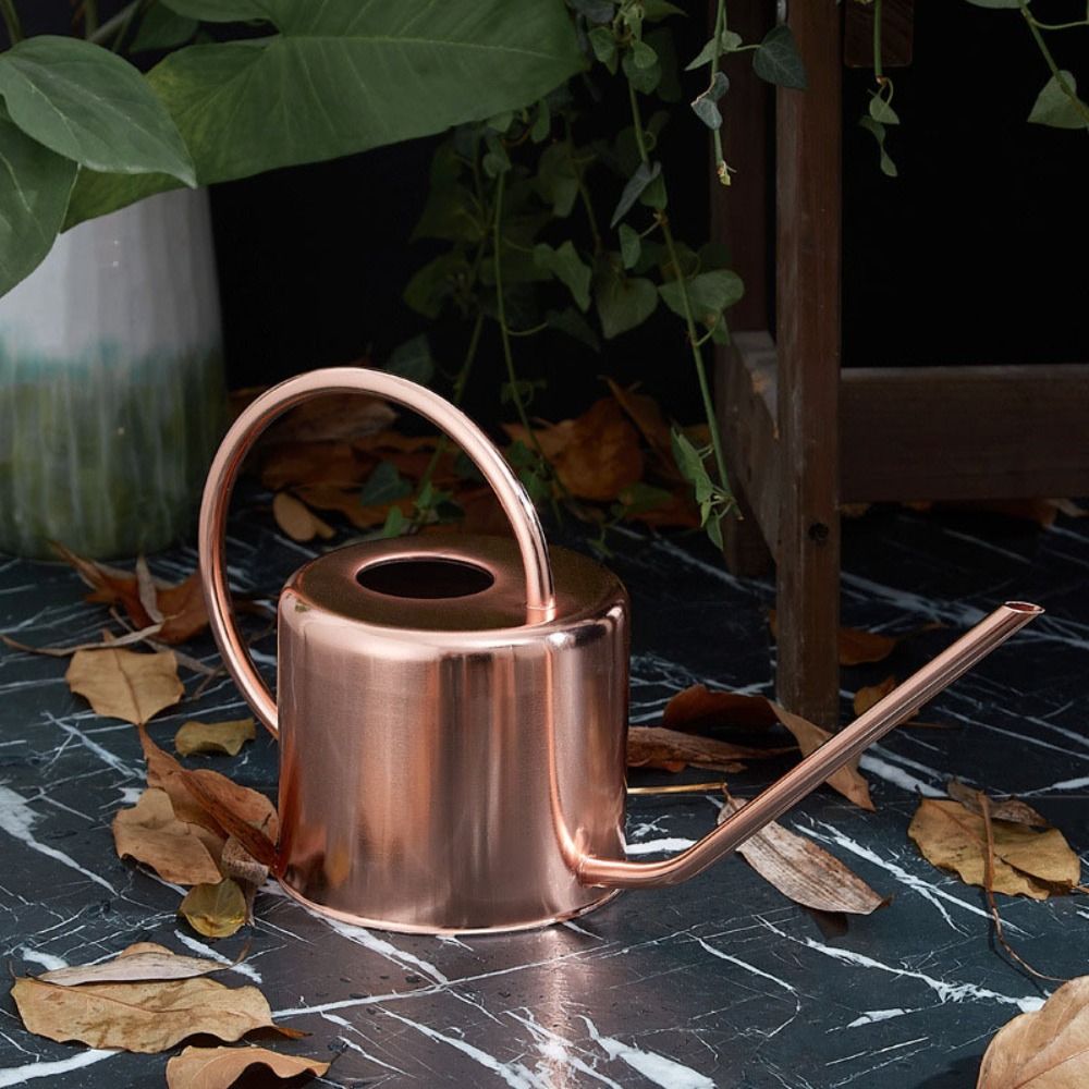 u 1.3L Plant Sprinkler Kettle  - Watering Can Long Spout 评论和价格