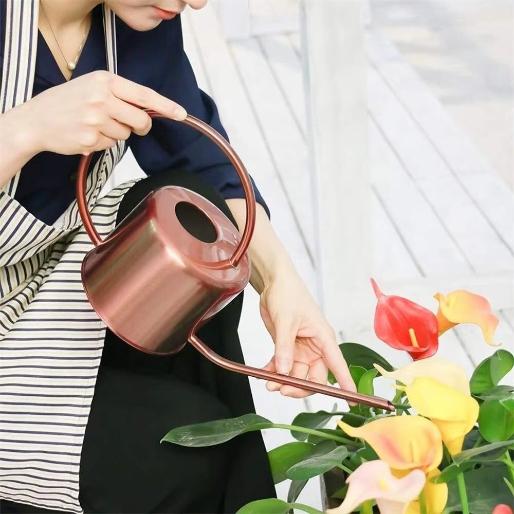 u 1.3L Plant Sprinkler Kettle  - Watering Can Long Spout 评论和价格