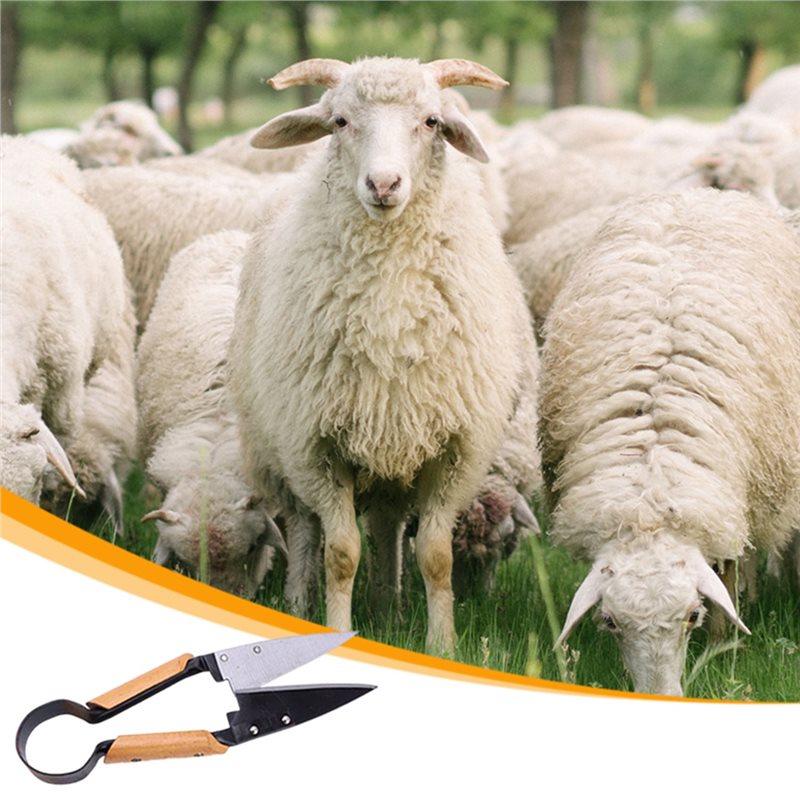 【FLASH DEAL】Heavy Duty 13Inch  - Gardening Tools Deals 评论和价格