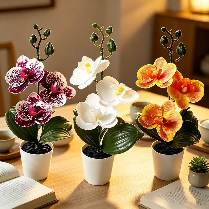 Mini Butterfly Orchid Potted P - Orchid Potting Mix 评论和价格