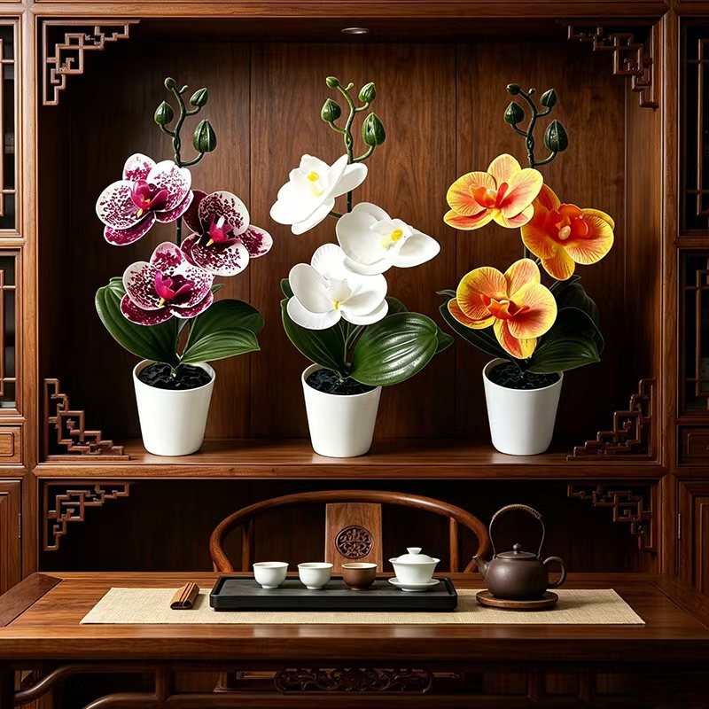 Mini Butterfly Orchid Potted P - Orchid Potting Mix 评论和价格