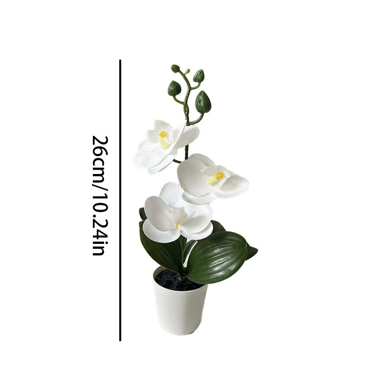 Mini Butterfly Orchid Potted P - Orchid Potting Mix 评论和价格
