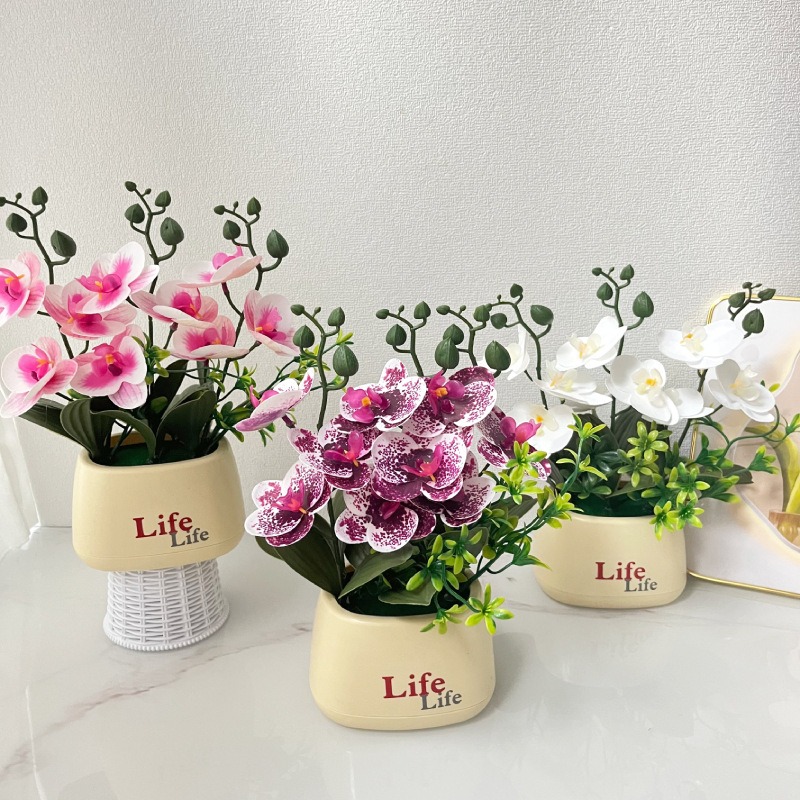 Elegant Nordic Style High-End  - Orchid Potting Mix 评论和价格