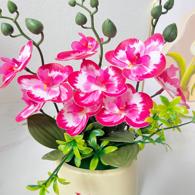 Elegant Nordic Style High-End  - Orchid Potting Mix 评论和价格
