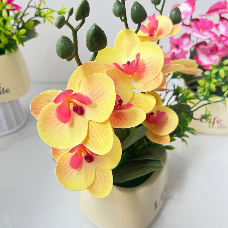 Elegant Nordic Style High-End  - Orchid Potting Mix 评论和价格