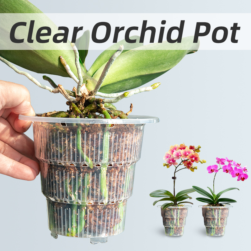 Meshpot Clear Plastic Orchid P - Orchid Potting Mix 评论和价格