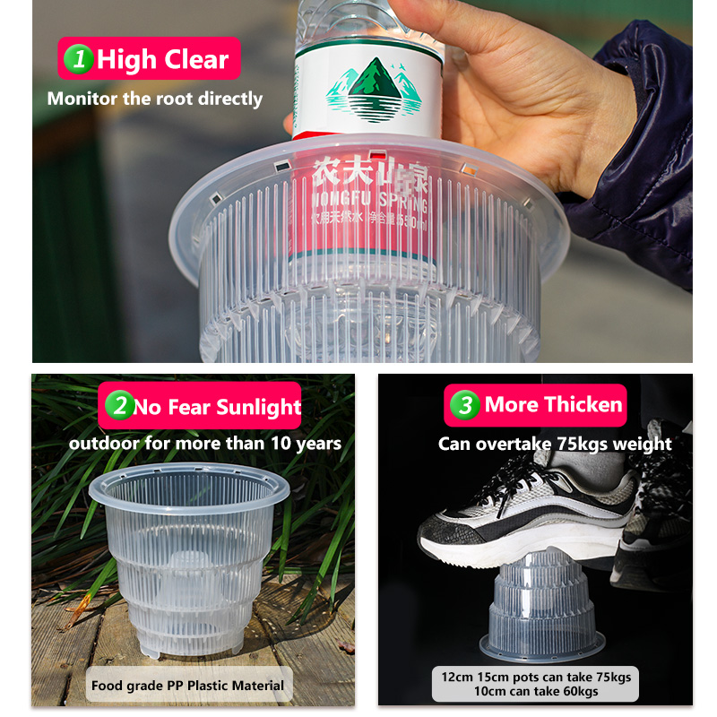Meshpot Clear Plastic Orchid P - Orchid Potting Mix 评论和价格
