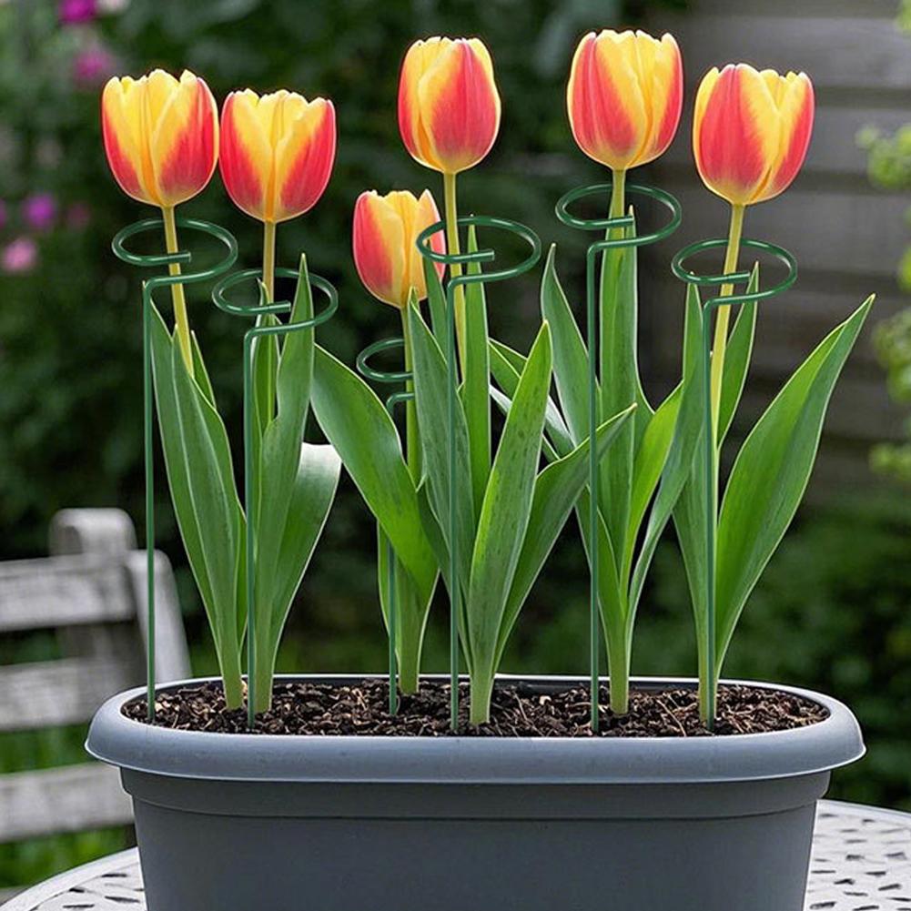 Metal Plant Support Rods Garde - Gardening Tools Range 评论和价格