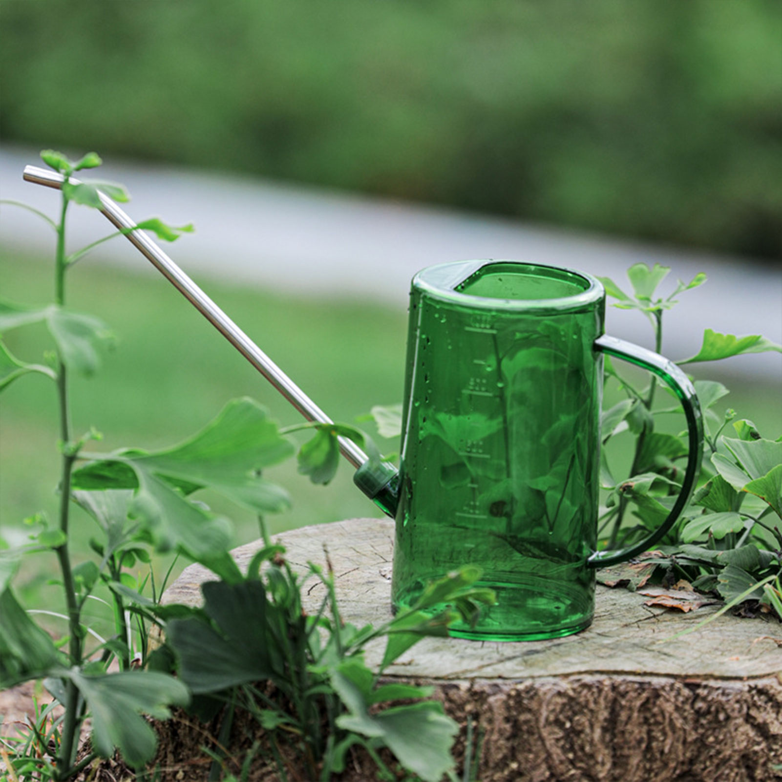 1L/1.5L Indoor Plants Watering - Watering Can Long Spout 评论和价格