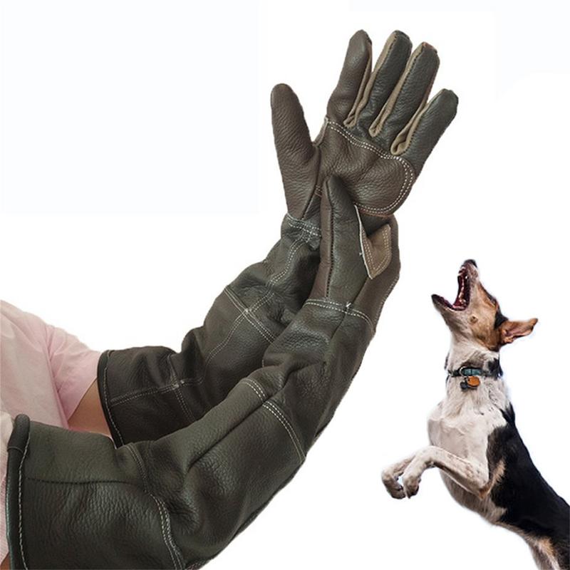 Pet Gloves Cowhide Leather Ant - Gardening Tools Gloves 评论和价格