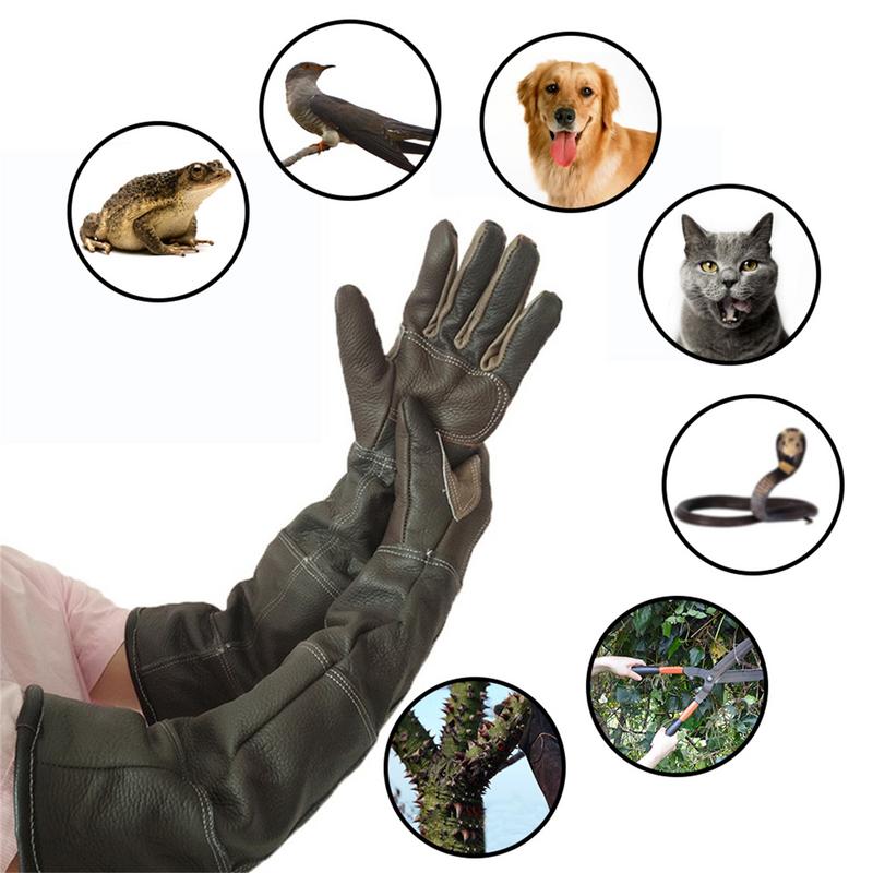 Pet Gloves Cowhide Leather Ant - Gardening Tools Gloves 评论和价格