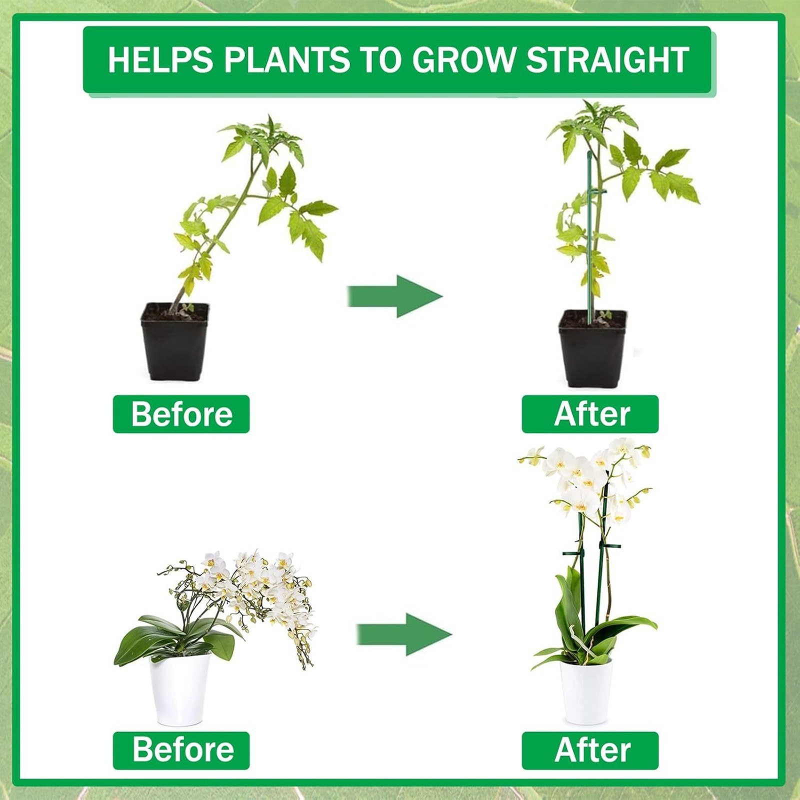 Plant Supports Rod Single Stem - Orchid Potting Mix 评论和价格