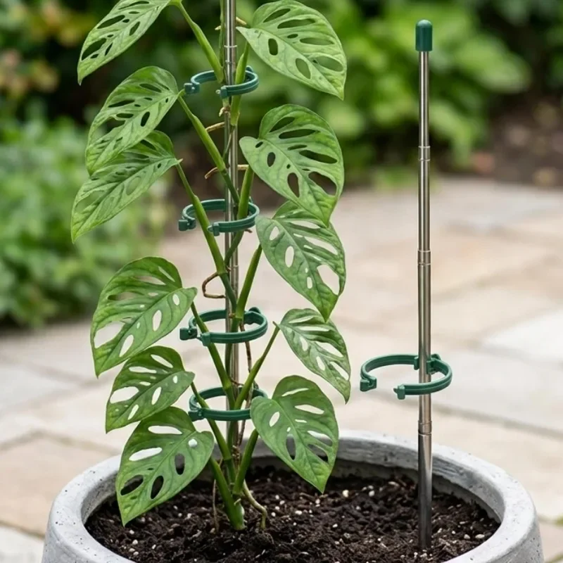 5/1PCS Retractable Plant Suppo - Gardening Tools Range 评论和价格
