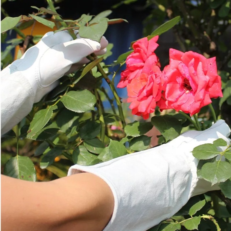 A Pair of Garden Gloves Thorn  - Gardening Tools Gloves 评论和价格