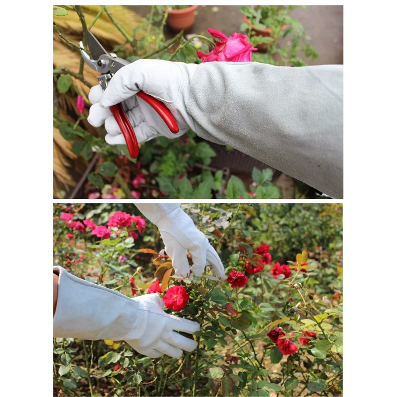 A Pair of Garden Gloves Thorn  - Gardening Tools Gloves 评论和价格