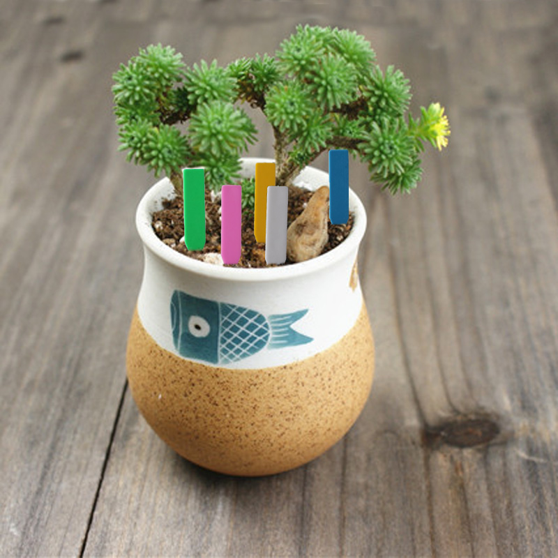 100Pcs Garden Plant Labels Pla - Garden Label Marker 评论和价格