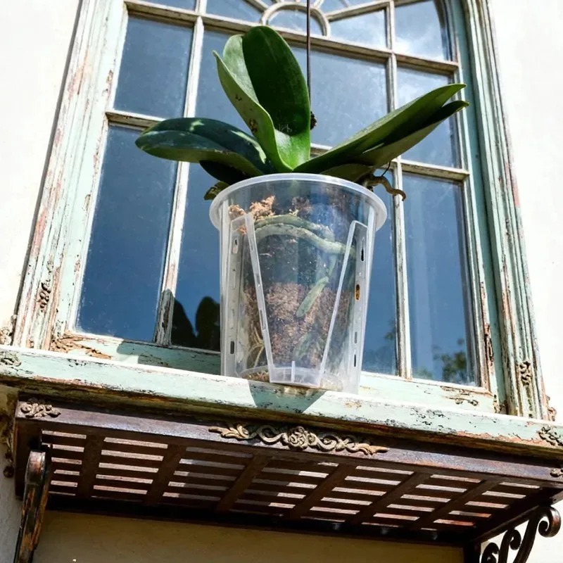 S/M/L/XL Clear Root Control Fl - Orchid Potting Mix 评论和价格