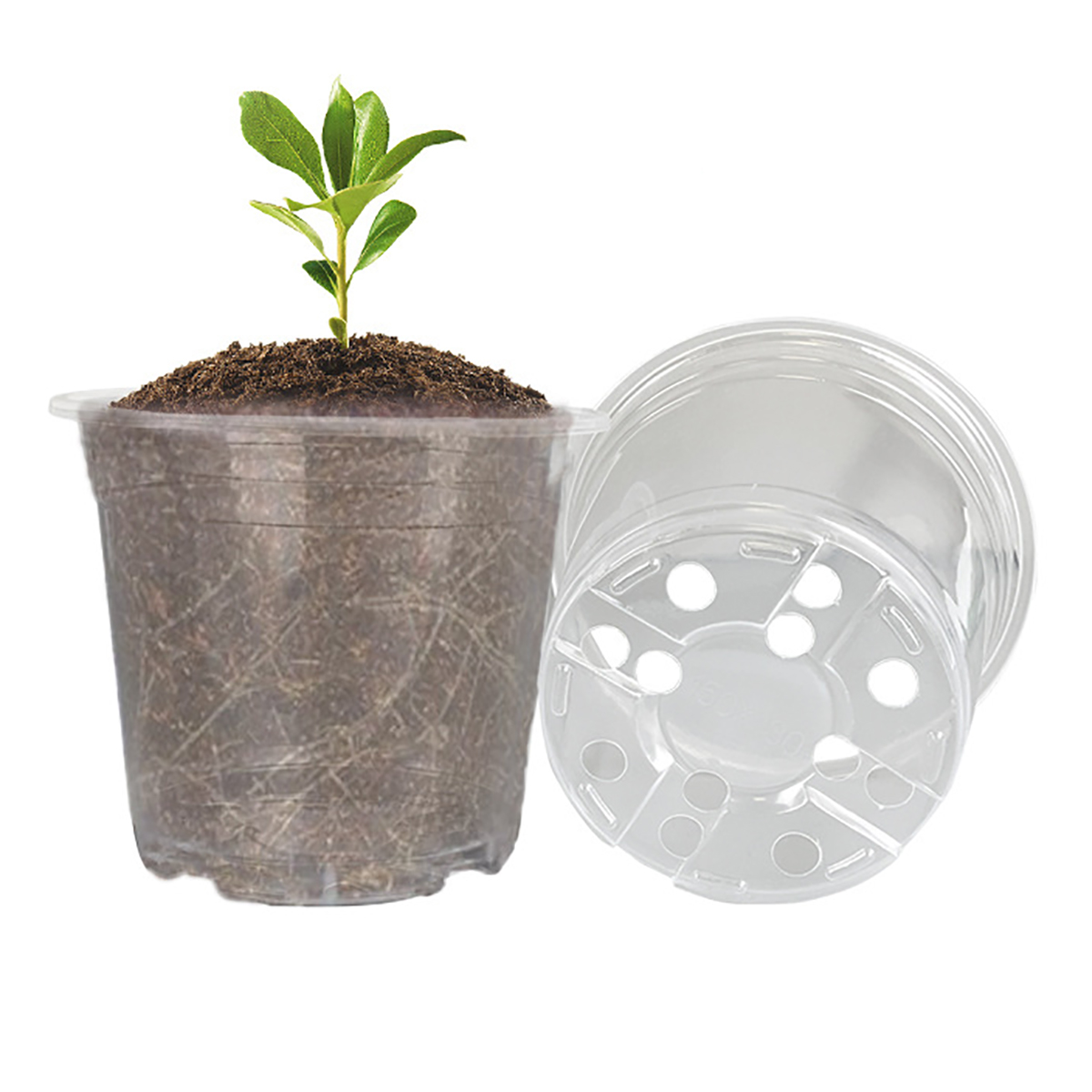 5Pcs 6/7.6/10/13/15cm Clear Ro - Orchid Potting Mix 评论和价格