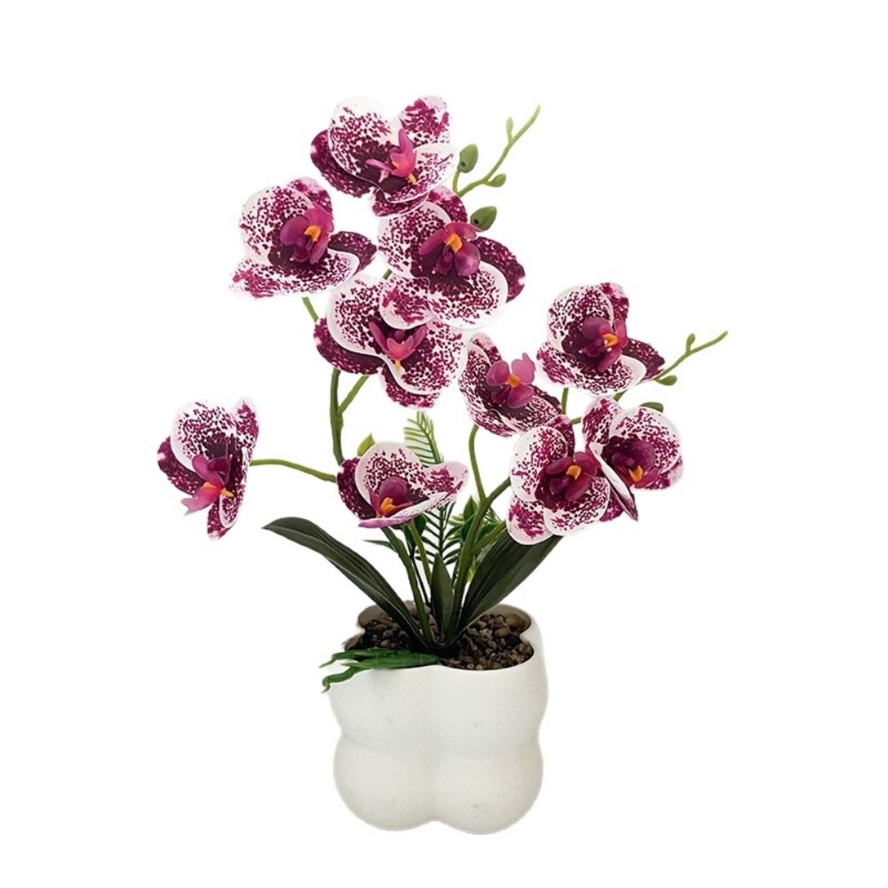 Multi-Bloom Simulated Butterfl - Orchid Potting Mix 评论和价格
