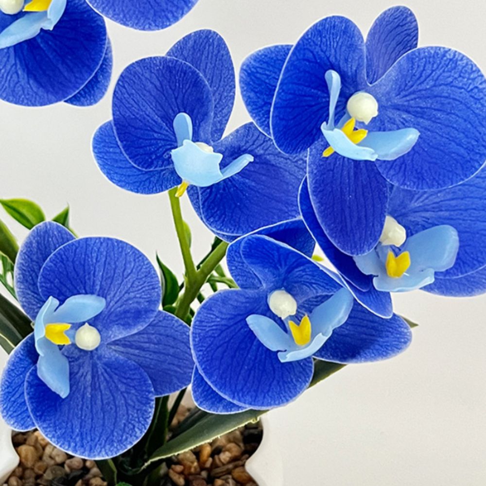 Multi-Bloom Simulated Butterfl - Orchid Potting Mix 评论和价格