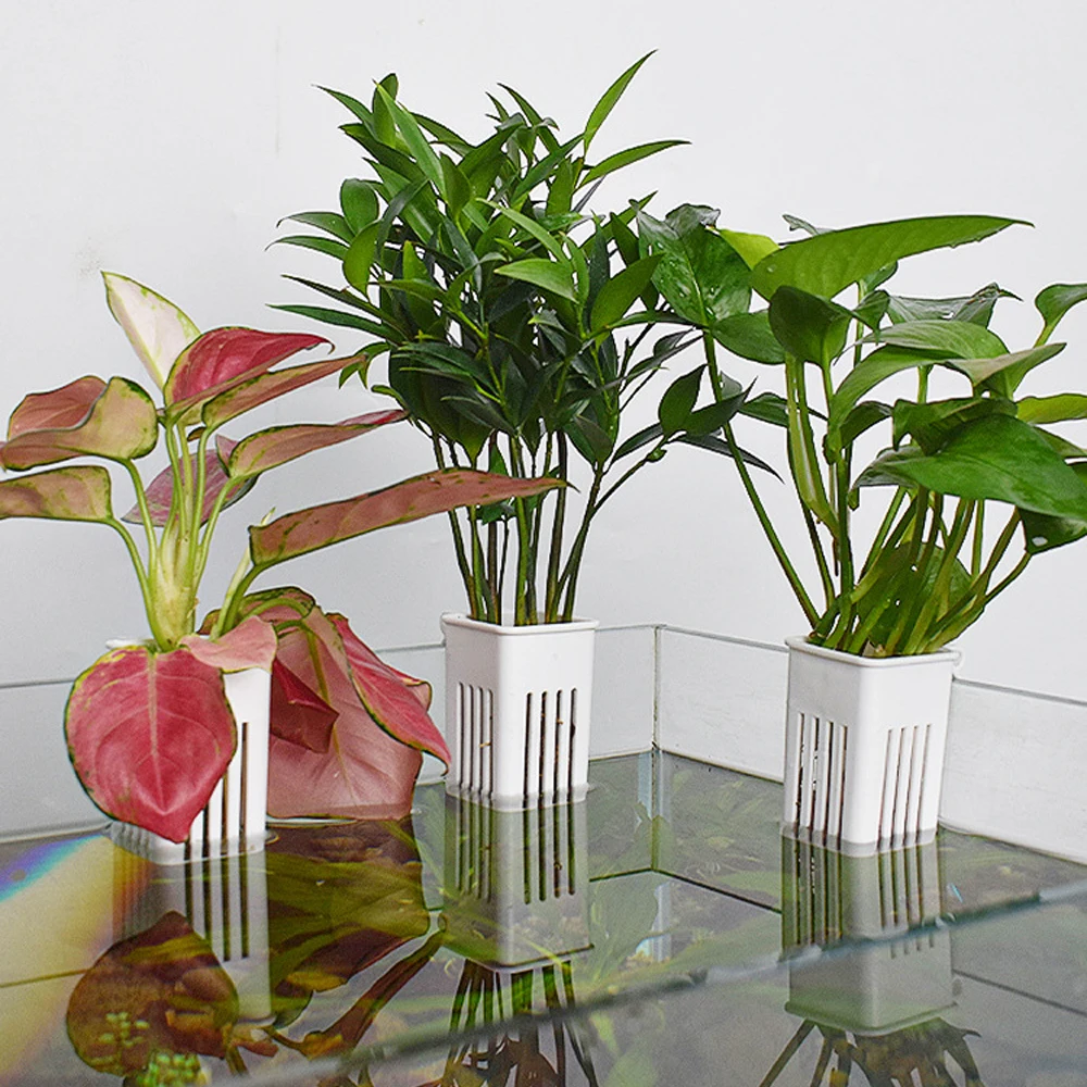 1 PC Aquarium Hydroponic Plant - Hanging Planter Basket 评论和价格