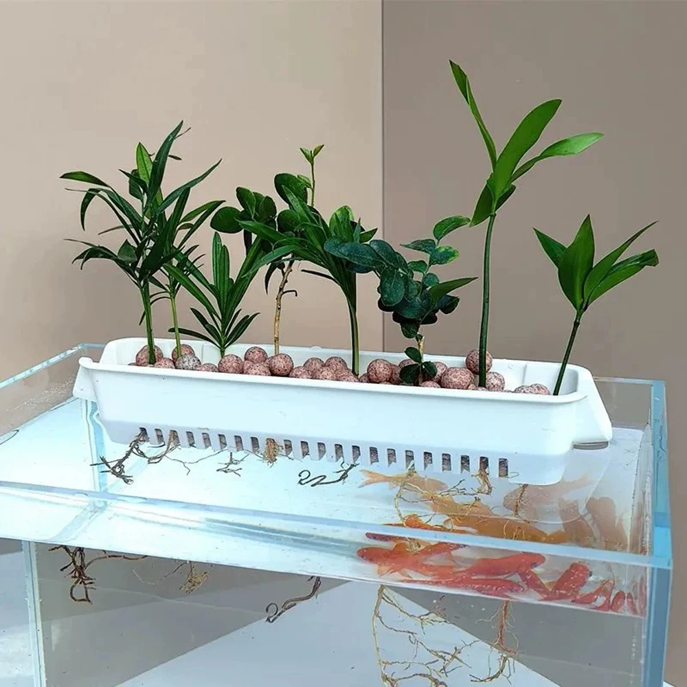 1 PC Aquarium Hydroponic Plant - Hanging Planter Basket 评论和价格