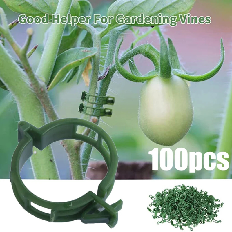 100 PCS/ Plant Support Clip Pl - Gardening Tools Range 评论和价格