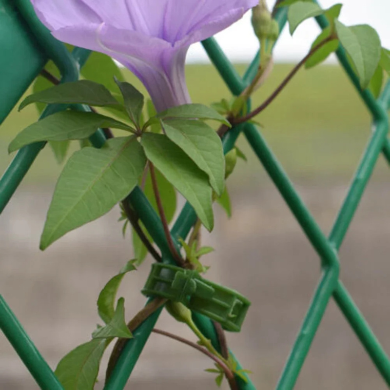 100 PCS/ Plant Support Clip Pl - Gardening Tools Range 评论和价格