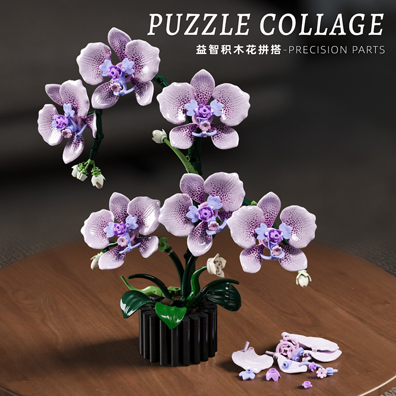 619PCS Phalaenopsis Building B - Orchid Potting Mix 评论和价格