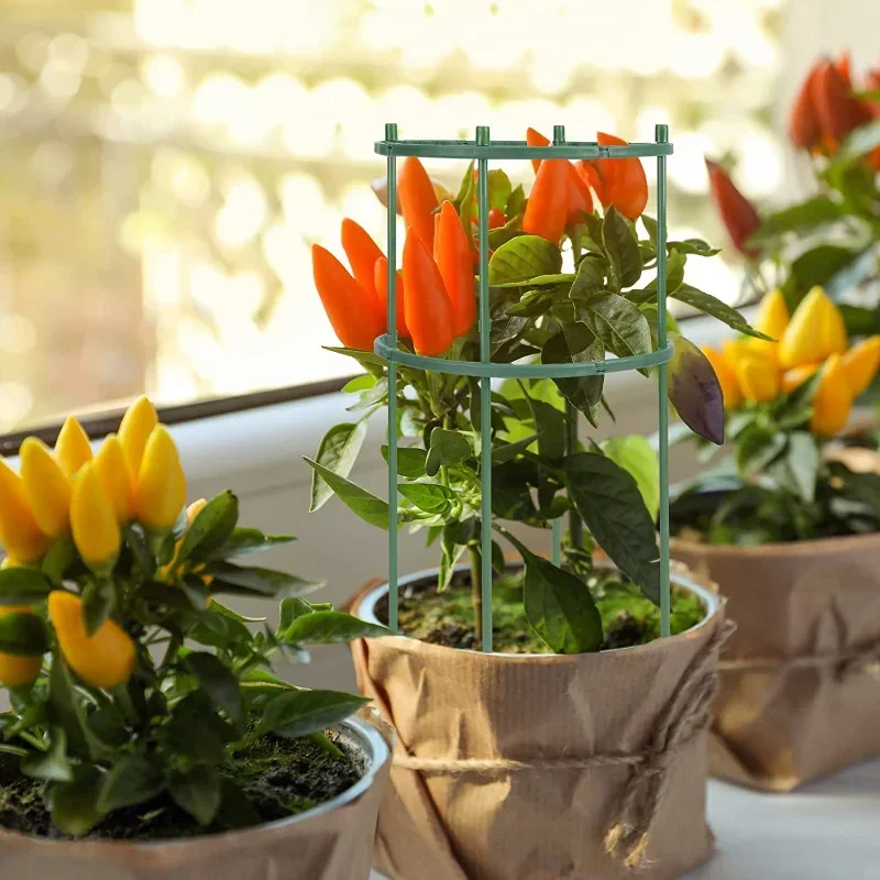 Plastic Plant Support Pile Sta - Gardening Tools Range 评论和价格