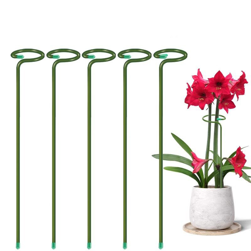 1-10pcs Metal Single Stem Plan - Gardening Tools Range 评论和价格