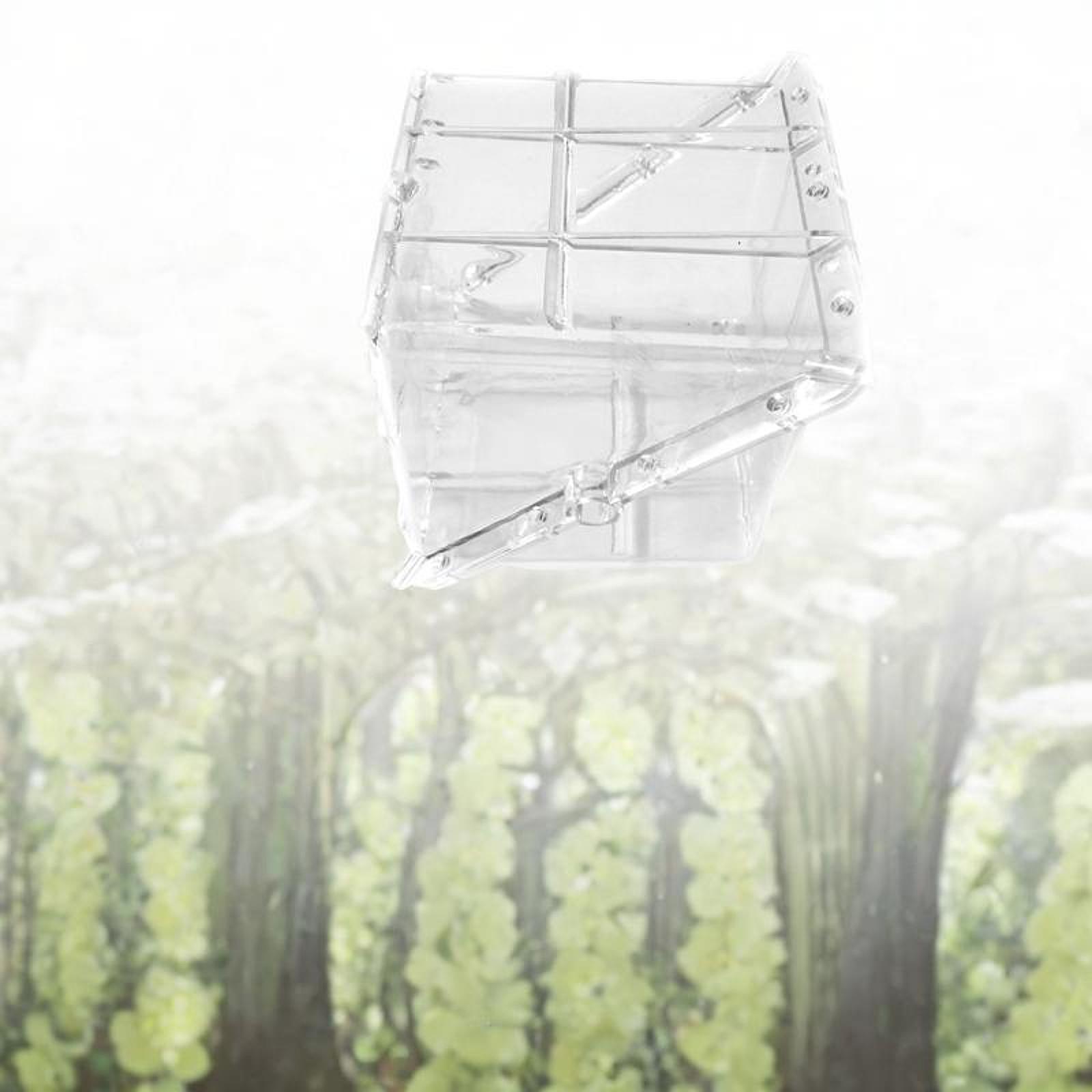 Square Watermelon Growth Mold  - Gardening Tools Unique 评论和价格
