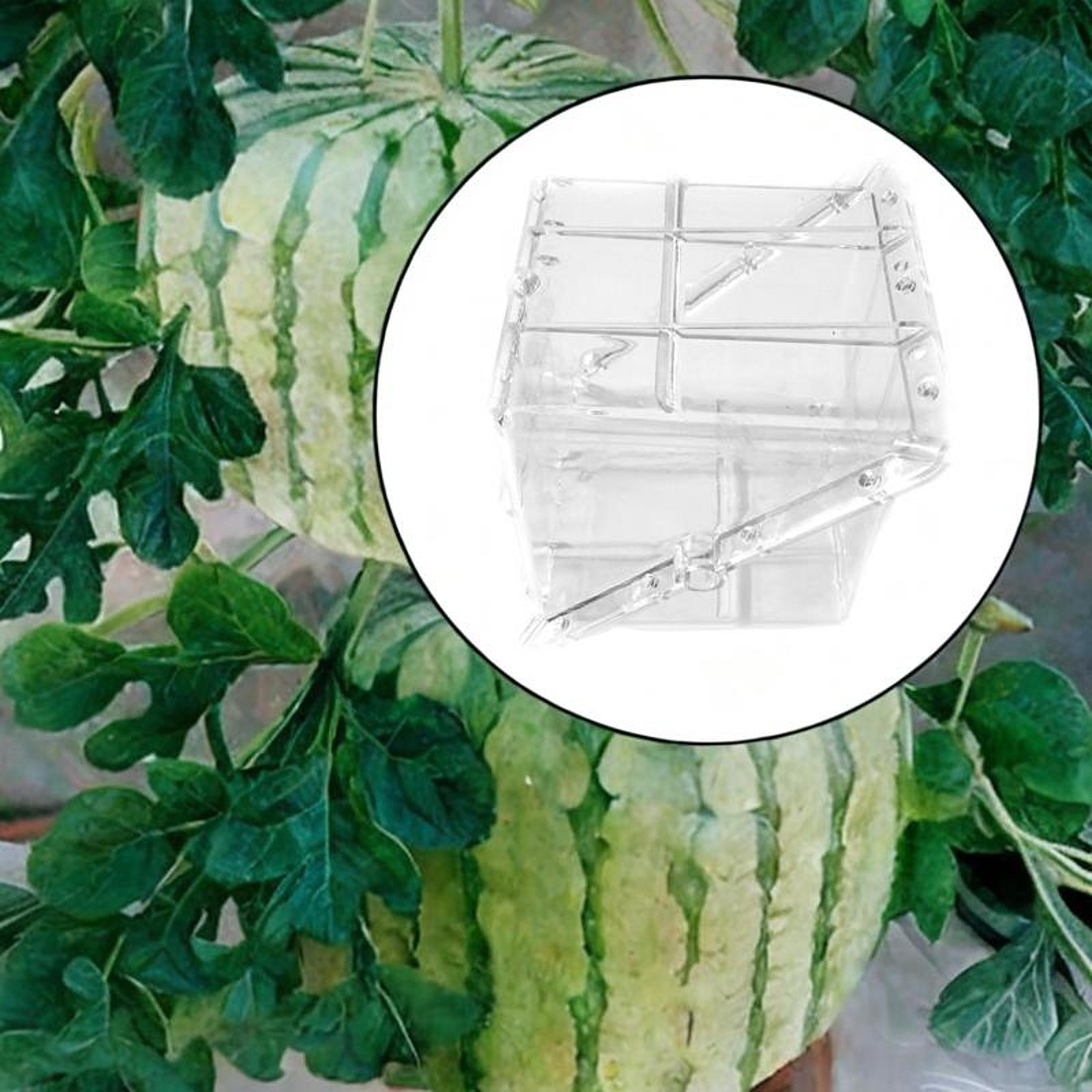 Square Watermelon Growth Mold  - Gardening Tools Unique 评论和价格