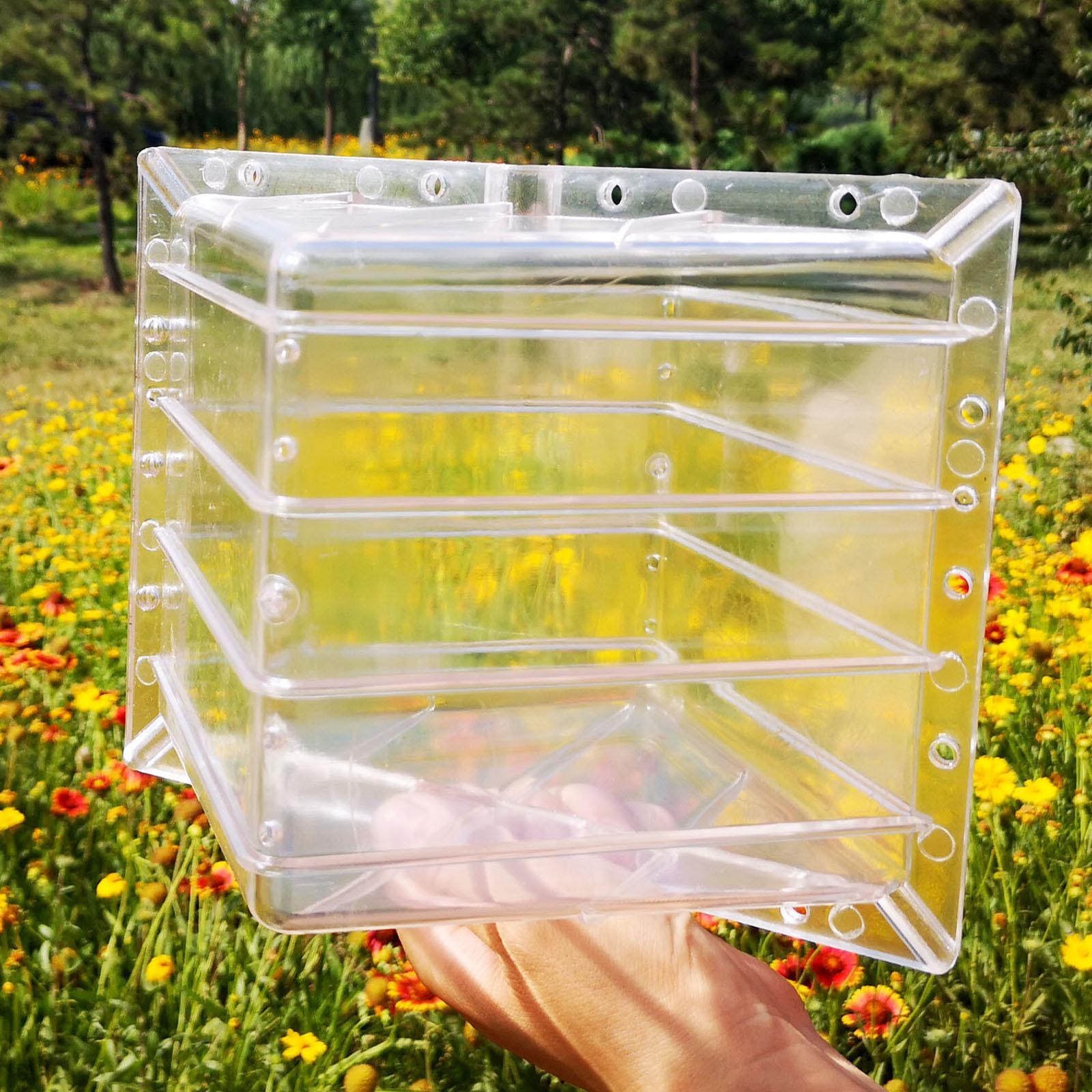 Square Watermelon Growth Mold  - Gardening Tools Unique 评论和价格