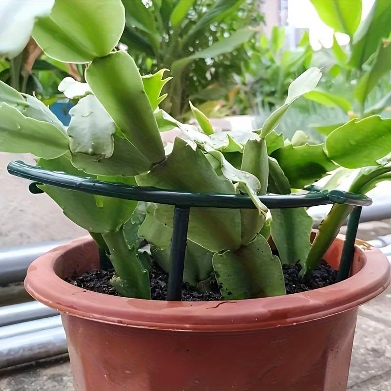 30-1PCS Plastic Plant Support  - Gardening Tools Range 评论和价格