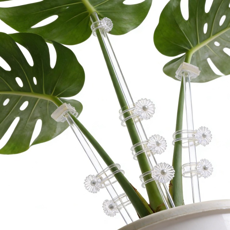 Reusable Clear Flower Support  - Orchid Potting Mix 评论和价格