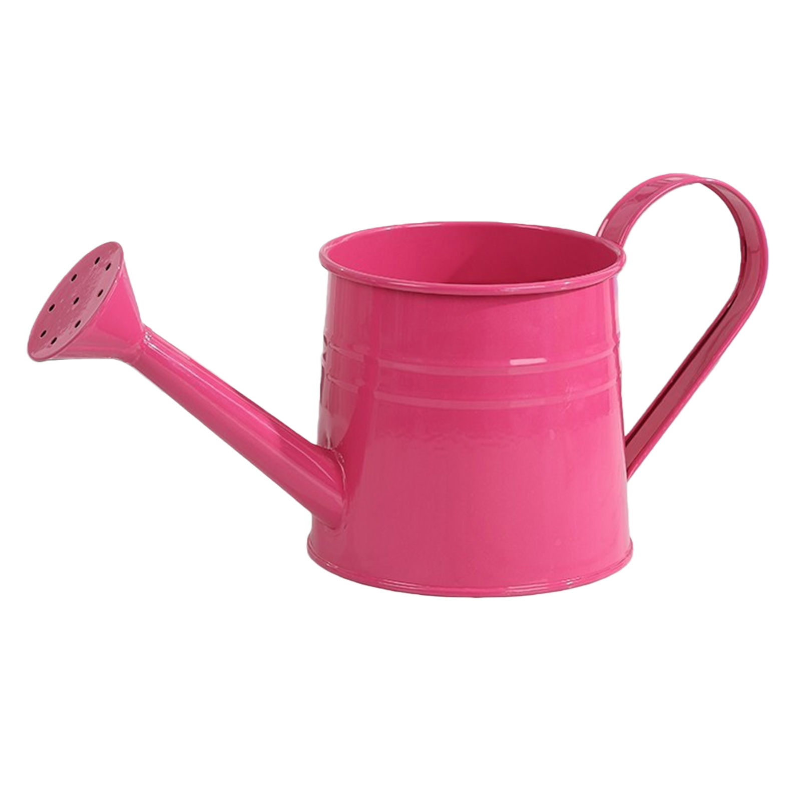 Flower Long Spout Water Can fo - Watering Can Long Spout 评论和价格